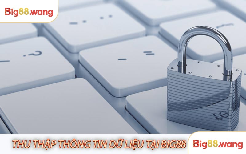 Thu thập thông tin dữ liệu tại nhà cái BIG88